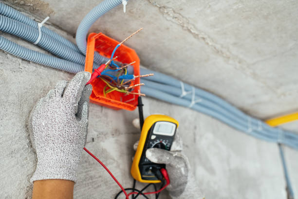 Best Electrical Wiring Services  in Arbury Hls, IL